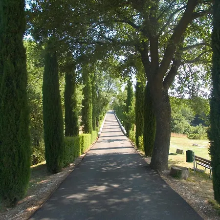 Abbazia Collemedio & Collazzone